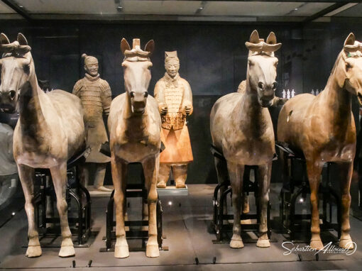 Galerie armée de terre cuite